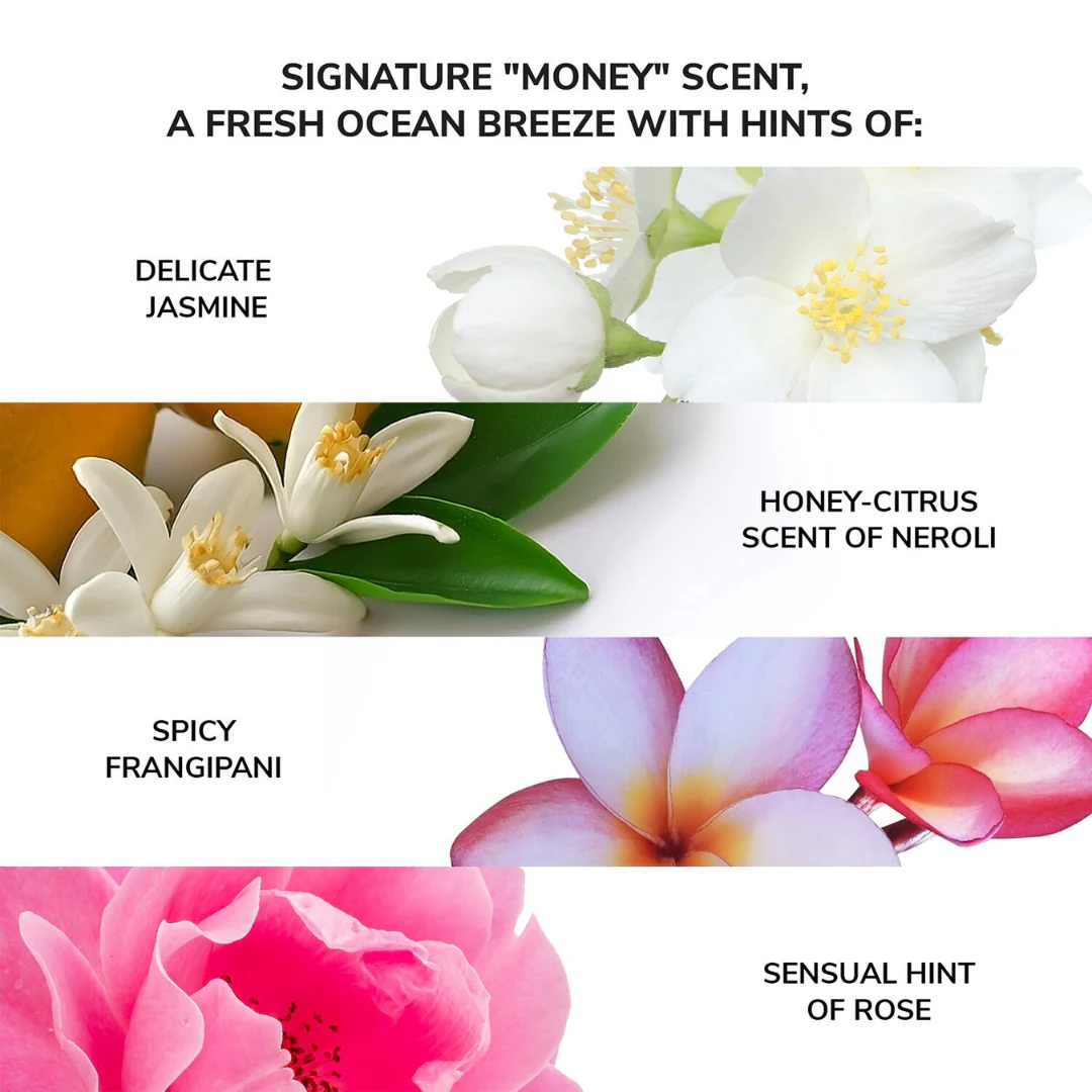Color Wow Money Laundering Glossing Conditioner - Image 6
